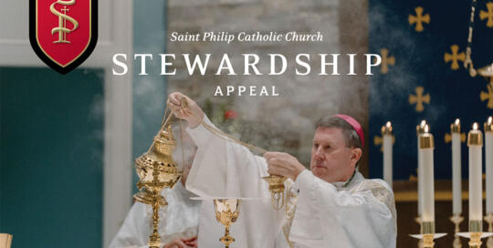 Stewardship spotlight