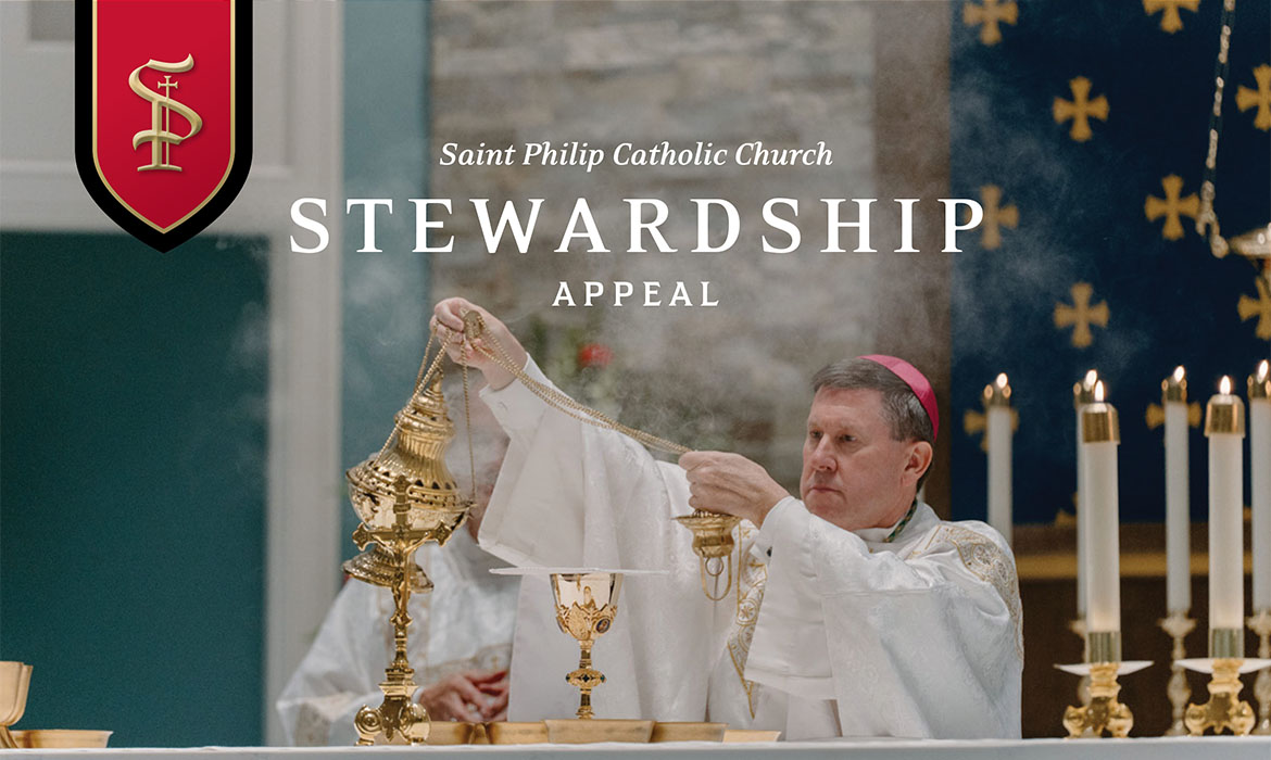 Stewardship spotlight